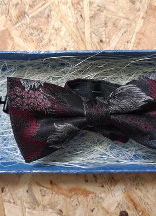 Гарна бабочка, метелик,бельгія