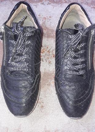 Крссовки під рептилію