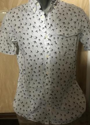 Рубашка  next