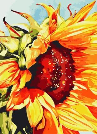 Картина за номерами artstory 40*40 соняшник