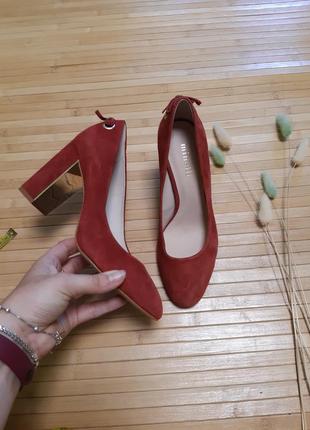 Туфлі minelli