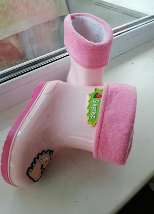 Резиновые сапоги.