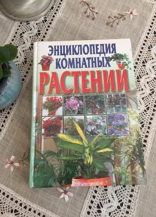 Энциклопедия комнатных растений