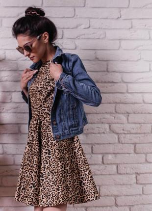 Сукня в леопардовий принт
