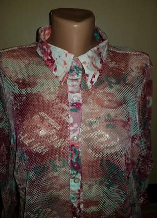 Рубашка biaggini  сетка цветная и