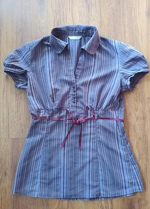 Блузка в полоску