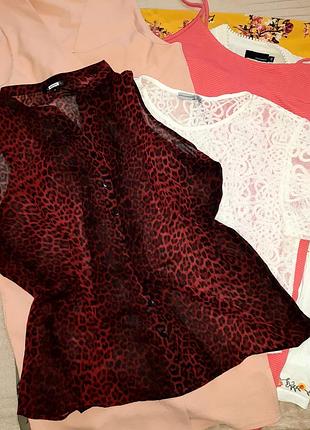 Блуза шифон