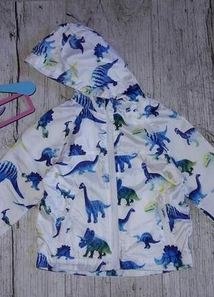 Ветровка в динозавры 1.5-2г