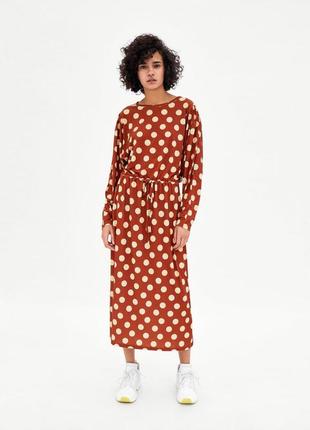 Плаття zara в горошок актуальний колір і фасон