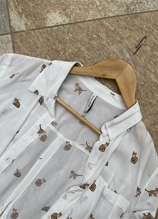 Короткая рубашка с котиками