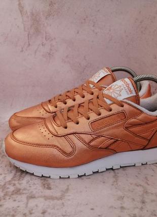 Кросівки reebok classic leather x face stockholm /royal club workout