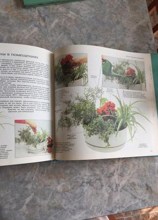 Книга вирощування квіткових рослин горщика6 фото