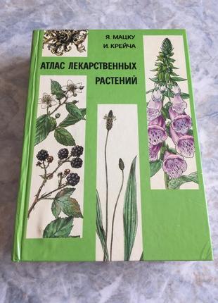 Книга атлас лекарственных растений