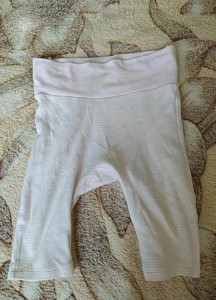 Штаны, бриджи