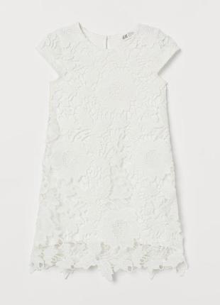 Біле мереживне плаття h&m