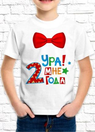 Футболка для хлопчика push it з принтом _ура! мені 2 годика_ фп000594
