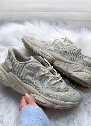 Кроссовки adidas ozweego beige бежевые