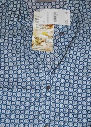 Блузка блуза рубашка классика хлопок классическая цветная коттоновая коттон 38 без рукава8 фото