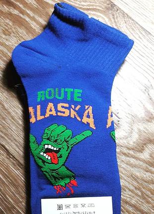 Носки "route alaska"