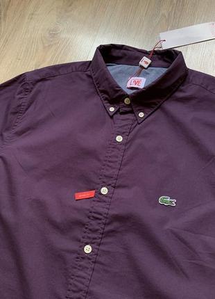 Мужская хлопковая рубашка lacoste live 3