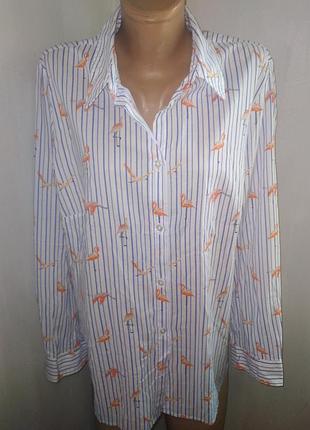 Євро 42 нова блуза коттон