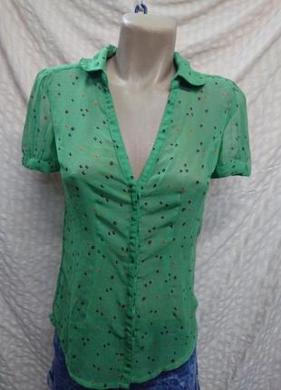 Зелена Блуза