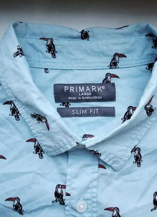 Рубашка  гавайская primark slim fit cotton гавайка c туканом (l)3 фото