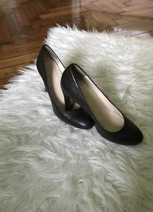 Туфлі calvin klein