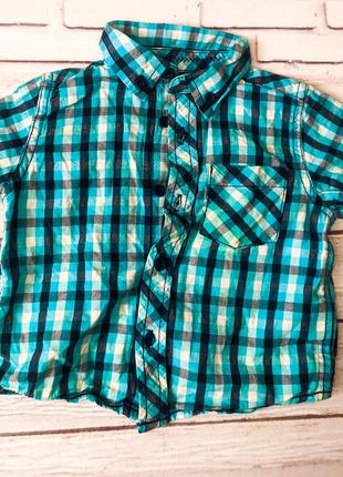 Брендовая детская рубашка тенниска на мальчика mothercare / индия/9-12 мес