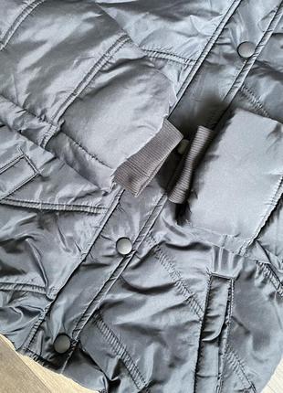 Куртка курточка итальялия темно-синяя на девочку 11-123 фото