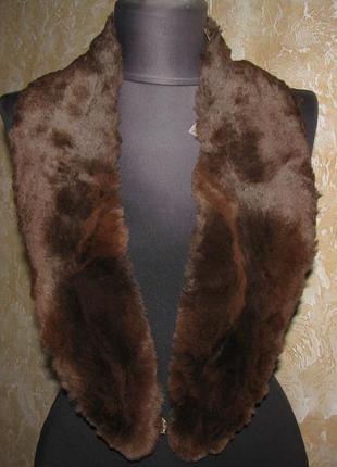 Комір з хутра бобра