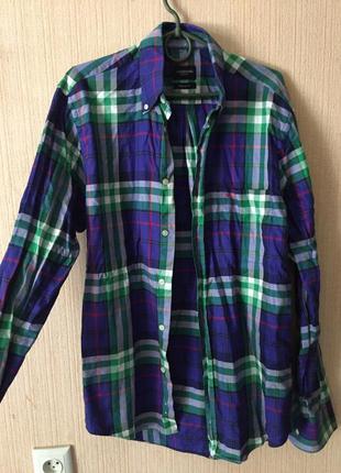 Сорочка чоловіча mcgregor