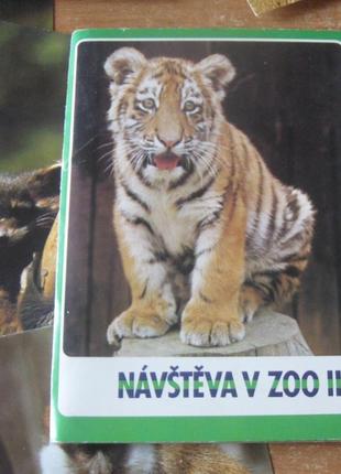 Набір кольорових листівок чехія «тварини в зоомагазині ׀ ׀ ׀» .3 фото