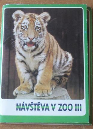 Набір кольорових листівок чехія «тварини в зоомагазині ׀ ׀ ׀» .1 фото
