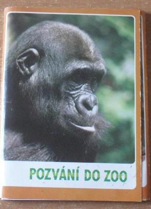 Набор цветных открыток чехия «позвони до зоо» .