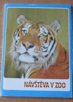 Набір кольорових листівок чехія «тварини в зоомагазині» .