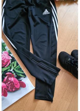 Спортивные брюки штаны adidas4 фото