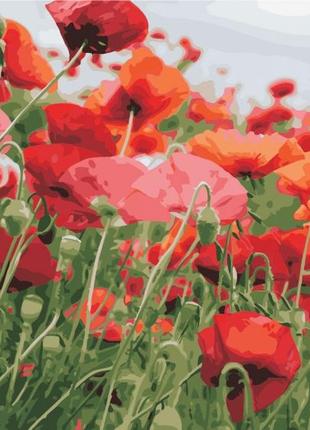 Картина по номерам artstory 40*50 маков цвет