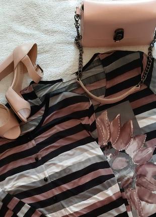 Костюм двойка (блуза-футболка+кофта), р.54-58