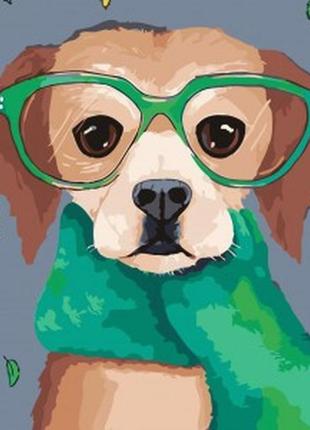 Картина за номерами artstory 40*50 пес в окулярах