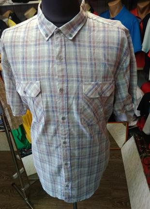 Відмінна теніска welldone у великих розмірах