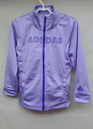 Спортивный костюм adidas спортивний костюм4 фото