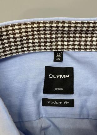 Рубашка классическая olimp luxor, голубая8 фото