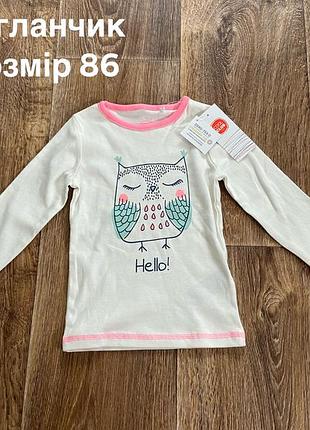 Регланчик сова