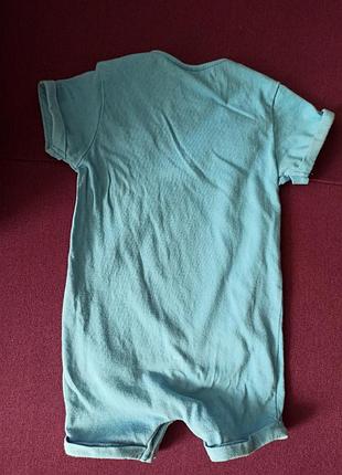 Пісочник зебра 2