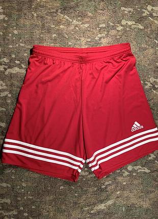 Шорти adidas climalite, оригінал, розмір м
