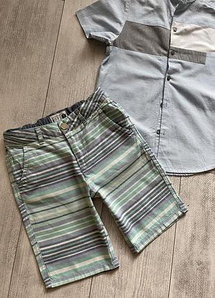 Фірмові бавовняні шорти чиносы 8 років