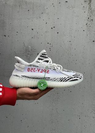 Жіночі кросівки adidas yeezy boost sply 350 zebra