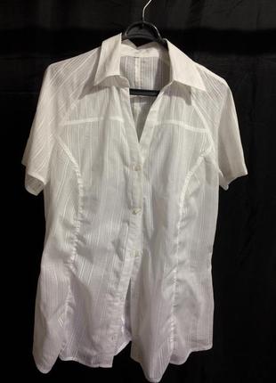 Женская белая удлинённая блуза рубашка с коротким рукавом реглан