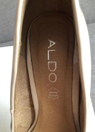 Туфли aldo 388 фото